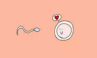 
              婴儿羊奶粉过期2个月能稀释后用来擦皮鞋吗？
            