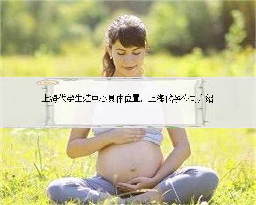 上海代孕生殖中心具体位置，上海代孕公司介绍