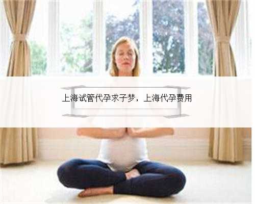 上海试管代孕求子梦，上海代孕费用