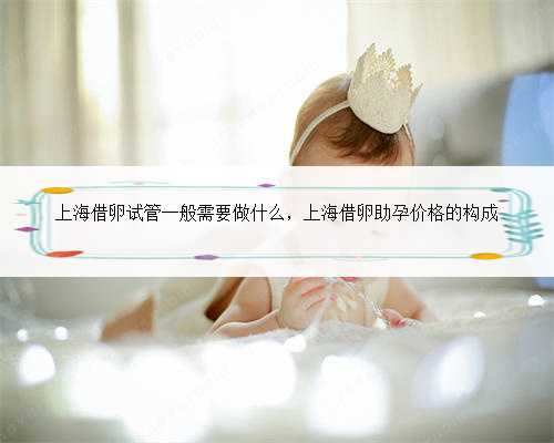 上海借卵试管一般需要做什么，上海借卵助孕价格的构成