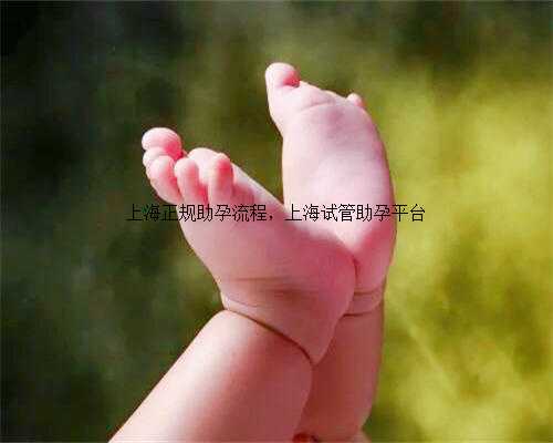 上海正规助孕流程，上海试管助孕平台