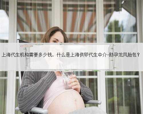 上海代生机构需要多少钱，什么是上海供卵代生中介-助孕龙凤胎包？