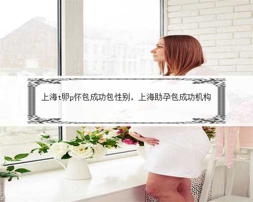 上海t卵p怀包成功包性别，上海助孕包成功机构