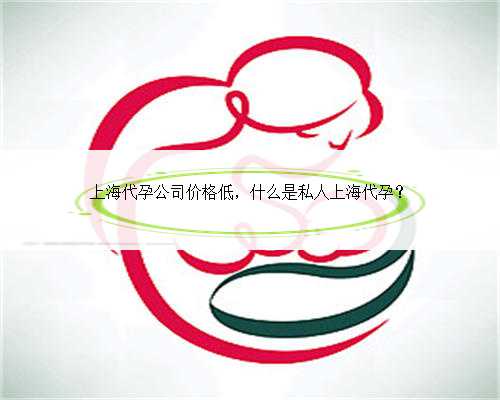 上海代孕公司价格低，什么是私人上海代孕？