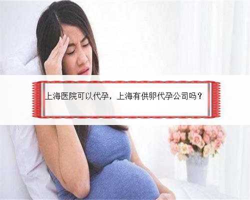 上海医院可以代孕，上海有供卵代孕公司吗？