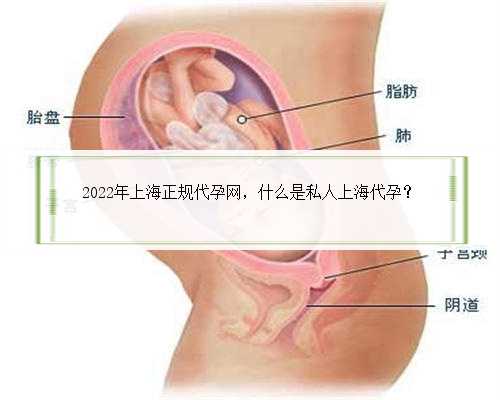 2022年上海正规代孕网，什么是私人上海代孕？