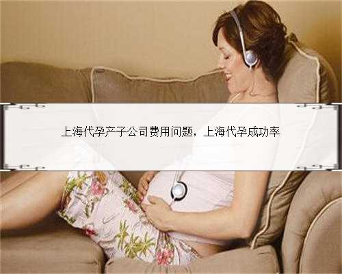 上海代孕产子公司费用问题，上海代孕成功率