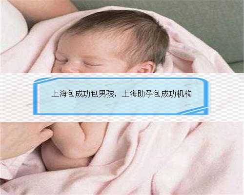 上海包成功包男孩，上海助孕包成功机构