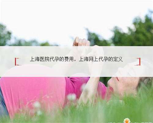 上海医院代孕的费用，上海网上代孕的定义