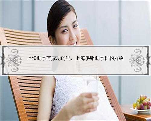 上海助孕有成功的吗，上海供卵助孕机构介绍
