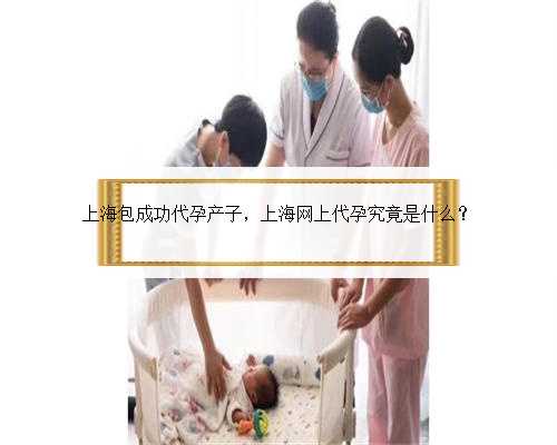上海包成功代孕产子，上海网上代孕究竟是什么？