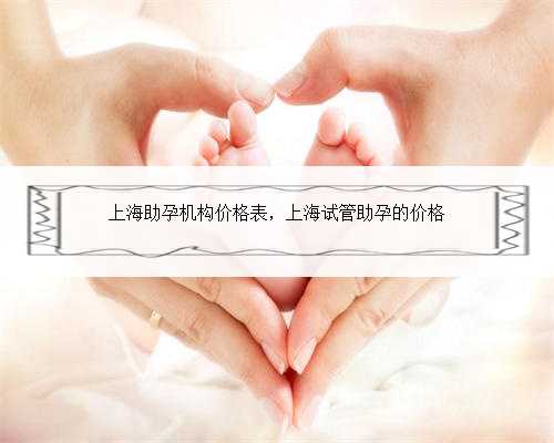 上海助孕机构价格表，上海试管助孕的价格