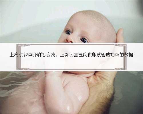 上海供卵中介群怎么找，上海民营医院供卵试管成功率的数据