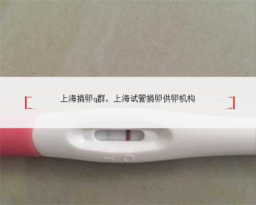 上海捐卵q群，上海试管捐卵供卵机构