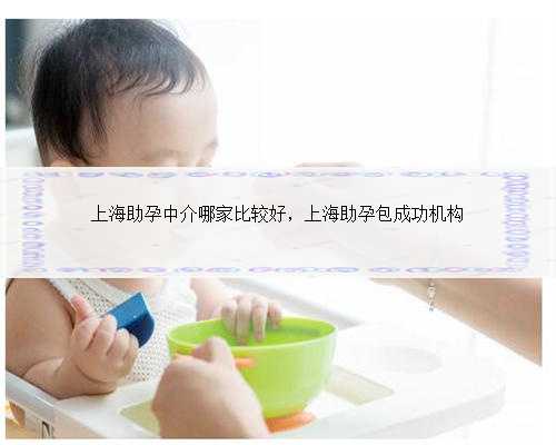 上海助孕中介哪家比较好，上海助孕包成功机构