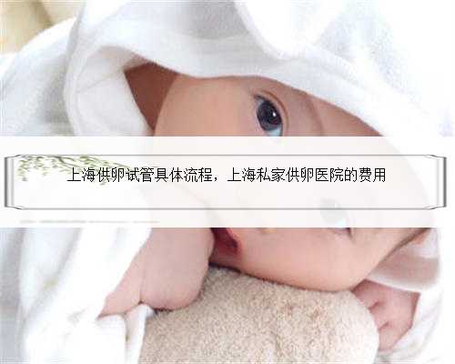 上海供卵试管具体流程，上海私家供卵医院的费用