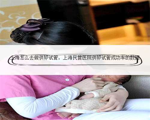 上海怎么去做供卵试管，上海民营医院供卵试管成功率的数据