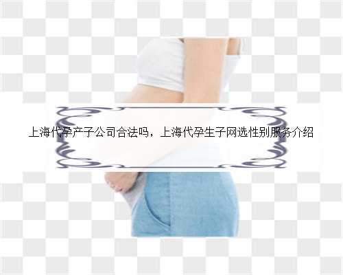 上海代孕产子公司合法吗，上海代孕生子网选性别服务介绍