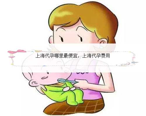 上海代孕哪里最便宜，上海代孕费用