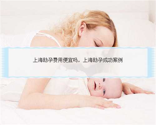 上海助孕费用便宜吗，上海助孕成功案例