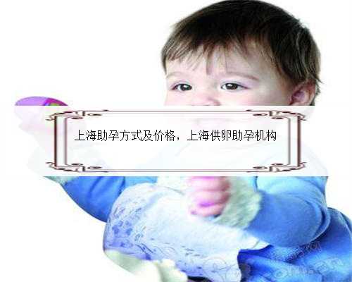 上海助孕方式及价格，上海供卵助孕机构