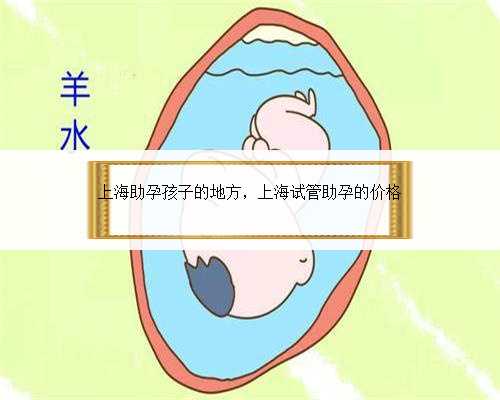 上海助孕孩子的地方，上海试管助孕的价格