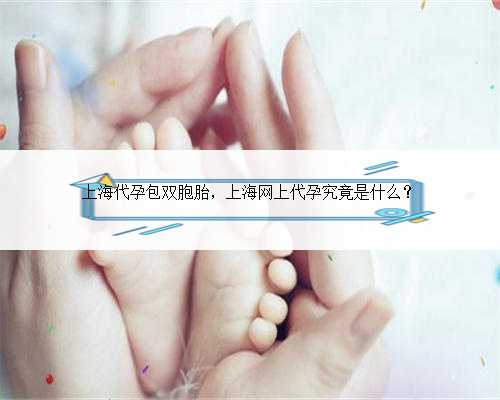 上海代孕包双胞胎，上海网上代孕究竟是什么？