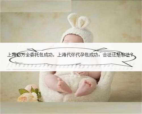 上海65万全委托包成功，上海代怀代孕包成功：合法还是非法？