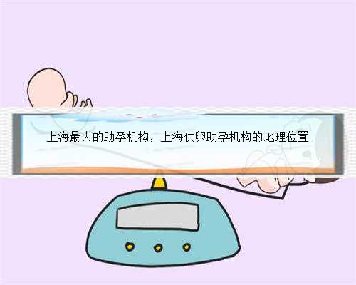 上海最大的助孕机构，上海供卵助孕机构的地理位置