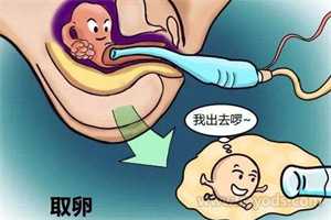 上海2023代怀孕公司，上海长海医院做试管婴儿多少钱二代三代就会更高