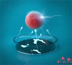 上海助孕方法问询，2022上海不孕不育医院排名，附上海生殖医院热门推荐