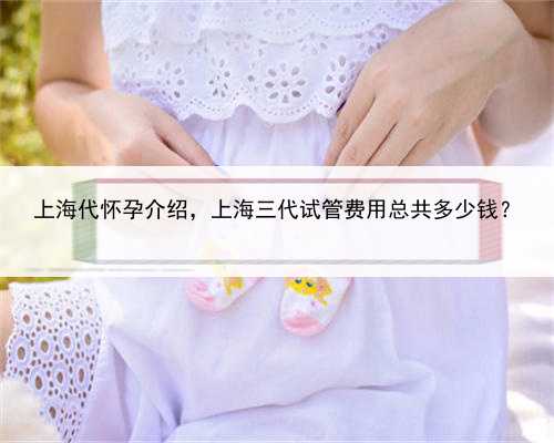 上海代怀孕介绍，上海三代试管费用总共多少钱？