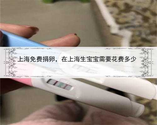 上海免费捐卵，在上海生宝宝需要花费多少 