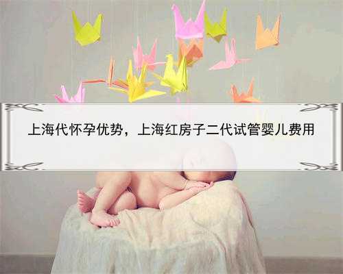 上海代怀孕优势，上海红房子二代试管婴儿费用