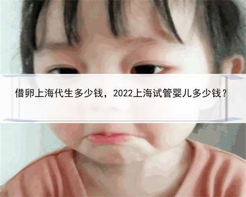 借卵上海代生多少钱，2022上海试管婴儿多少钱？