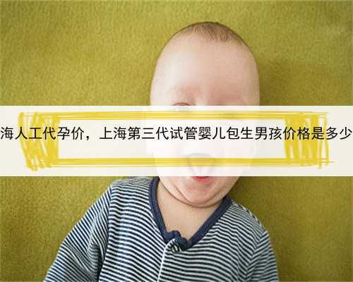 上海人工代孕价，上海第三代试管婴儿包生男孩价格是多少？