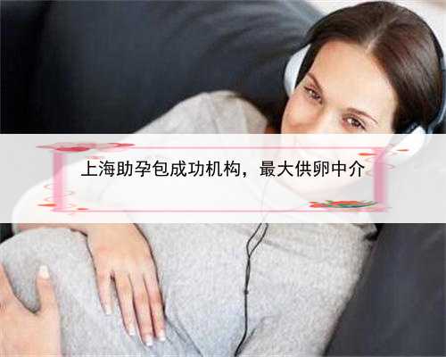上海助孕包成功机构，最大供卵中介