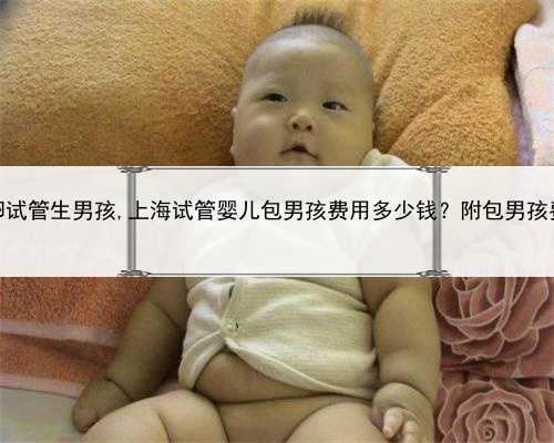 上海借卵试管生男孩,上海试管婴儿包男孩费用多少钱？附包男孩费用明细