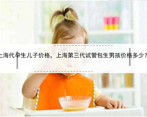 上海代孕生儿子价格，上海第三代试管包生男孩价格多少？